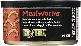 Exo Terra Specialty Reptile Food, Canned Mealworms