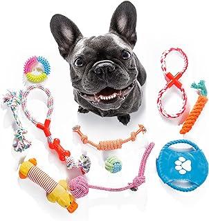 LIFEIN Puppy Chew Toys for Fun and Teeth Cleaning