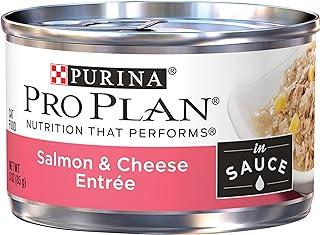 Purina Pro Plan High Protein Wet Cat Food in Gravy, Salmon and Cheese Entree