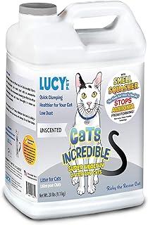 Lucy Pet Cats Incredible 20 lb Jug Clumping Kitten Litter