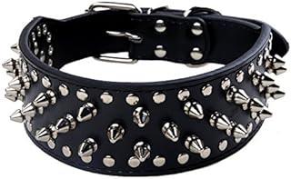 Bonawen Leather Dog Collar with Spikes