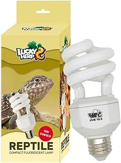 Compact Fluorescent Lamp 15W