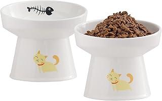 Tilted Raised Cat Food and Water Bowl Set