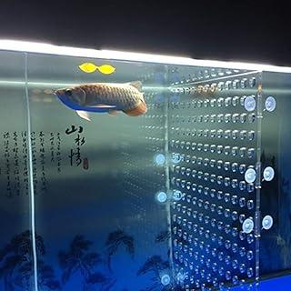 Aquarium Isolation Board with Suction Cups