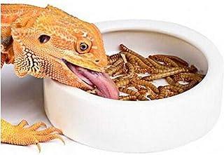Worm Dish – Large 2 Pcs Reptile Food Water Bowl