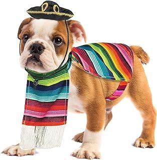 Skeleteen Mexican Serape Dog Costume