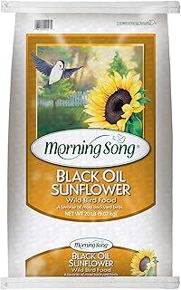 Morning Song Black Oil Sunflower Wild Bird Food, 20-Pound