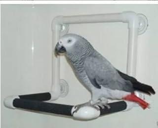 Bird Parrot Stand Perch Shower Standing Toy Portable Suction Cup