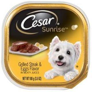 CESAR Sunrise Wet Dog Food Grilled Steak and Eggs Flavor Breakfast