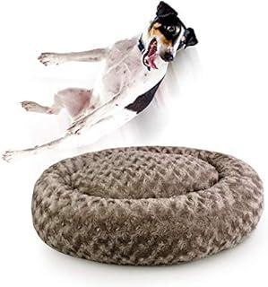 Dog Beds for Medium and Small Canines
