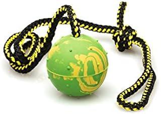 Puppy Dog Ball, K9 ball on Rope for Reward