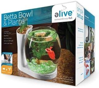 Elive Betta Fish Bowl with Planter, Small 0.75 Gallon Aquarium