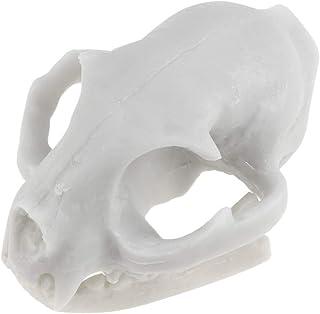 WINOMO Resin Fortune Cat Skeleton Model