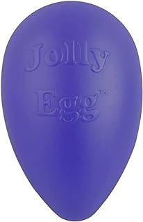 Jolly Pets Plastic Dog Chew Toy 8 inch Purple