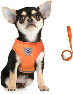 FEimaX Dog Harness and Leash Set, No Pull