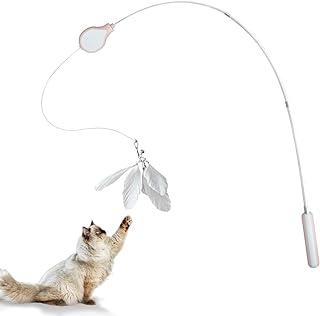 Cat Toy Feather Wand Retractable Wire and Sticks