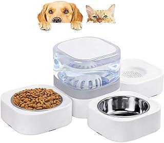 Automatic Pet Water Dispenser with 2 Detachable Stainless Steel Feeder Bowls