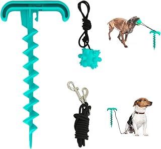 Tie Out Cable for Dogs (Lake Blue)