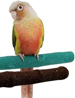 Borangs Parrot Perches Bird Stand Natural Wood Quartz Sand Branche