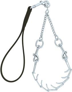 Weaver Leather Livestock Pronged Chain Goat Collar and Lead Set