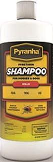 Pyrethrin Shampoo for Horses & dogs Coconut 1 Quart