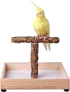 KINTOR Bird Stand Tabletop