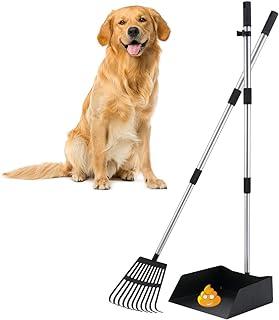 Heavy-Duty Clean Tools for Pet Waste