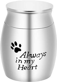 Small Cremation Urn for Pet Ashes