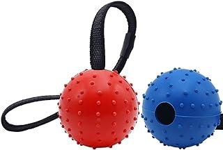 Vivifying Dog Ball on Rope (Blue + Red)