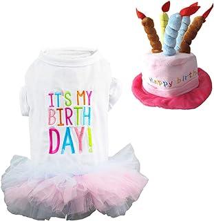 Dog Cat Pet Happy Birthday Hat and It’s My birthday Princess Skirt