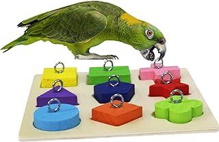 Rypet Bird Intelligence Training Toy for Small and Medium Parrots