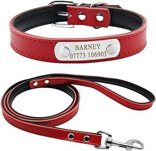 Didog Soft Leather Padded Custom Dog Collar and Leash Set with Personalized Nameplate
