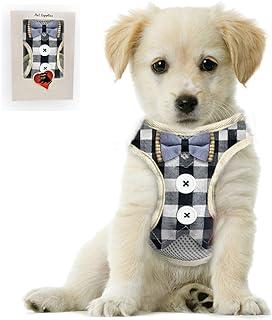 Bark Lover Small Puppy Harness with Bowtie