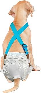 Dog Diaper Suspenders – Paw Inspired