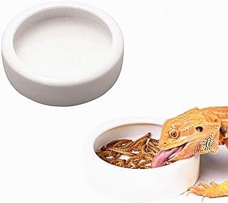 2PCS Terrarium Bowls Reptile food bowl Worm Dish