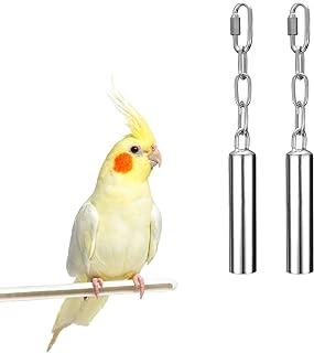 Stainless Steel Bird Cage Hanging Bite Toy for African Greys