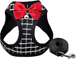 Cat Harness and Leash for Small Dogs