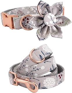 Collar Dog Flower and Leash Set for Pet Cat with Rose Gold Metal Buckle