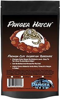 Pangea Hatch Premium Reptile Egg Incubation Substrate