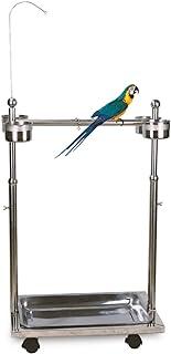 Metal Bird Feeder Stand Adjustable Height Rolling Parrot Playstand
