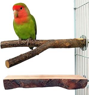 QUMY 2 Pack Parrot Bird Cage Perch Natural Wood Fork Stand