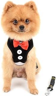 Small Dog Tuxedo Harness for Puppy Boys