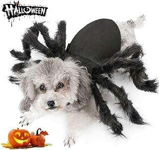 Dog Cat Spider Costume for Halloween Party Decoration