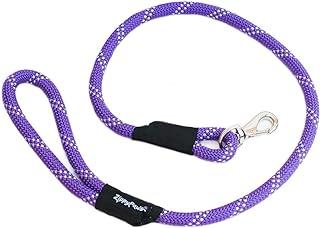 Zp337 Climbers Rope Leash Original 4 Ft – Purple Dog Lead