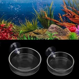 Senzeal 2PCS Shrimp Feeding Dish Glass Aquarium Fish Tank Reptiles
