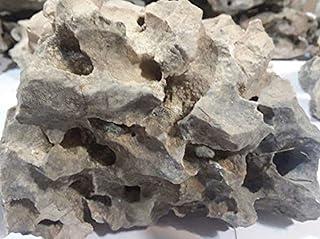Texas Holey Rock Natural Limestone Aquarium Decor