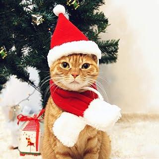 PETLESO Cat Santa Hat with Scarf, Christmas Costume Set