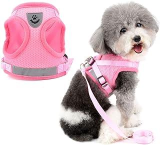 Zunea Small Dog Harness Leash Set No Pull Reflective Adjustable Step-in Soft Mesh Padded Puppy Vest