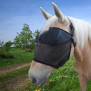 EquiVizor UV Fly Masks – Help with Uveitis, Corneal Ulcer and Cataract