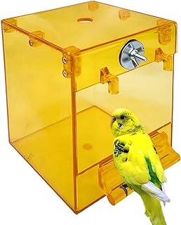 Canary Cockatiel Budgies